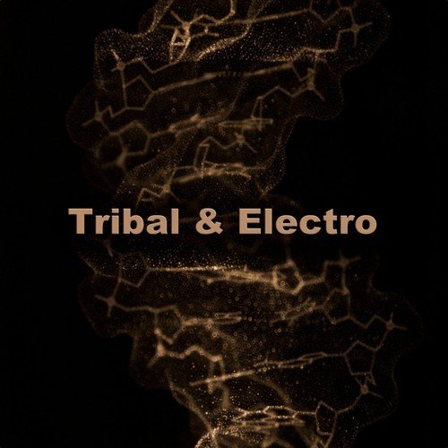 Tribal & Electro - Dj Tracks