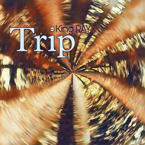 Trip