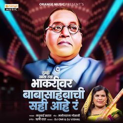 Tumhi Khata Tya Bhakrivar Baba Sahebachi Sahi Aahe R (Remix)