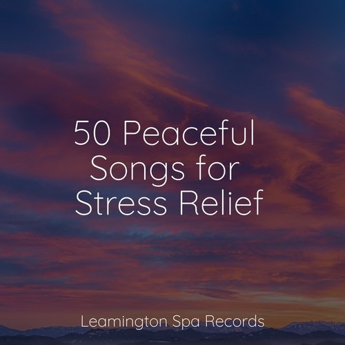 50 Peaceful Songs for Stress Relief