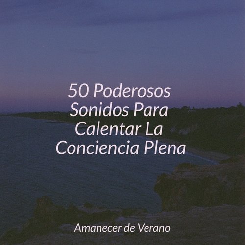 50 Poderosos Sonidos Para Calentar La Conciencia Plena