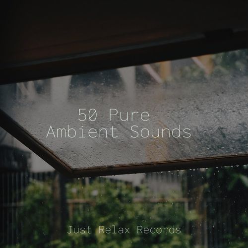 Silent Reverie cover art