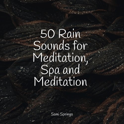 50 Rain Sounds for Meditation, Spa and Meditation