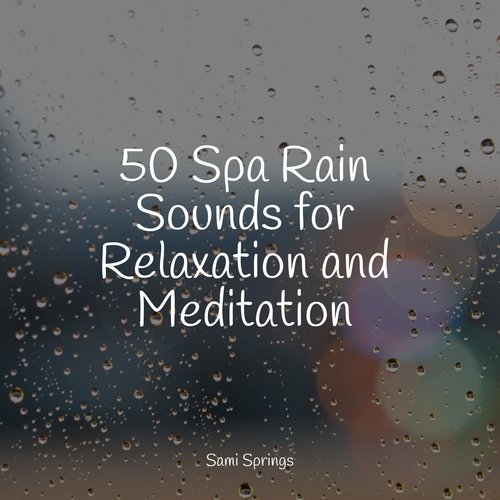 50 Spa Rain Sounds for Relaxation and Meditation