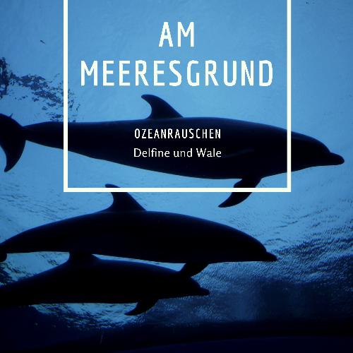 Entspannungsmusik Meer cover art