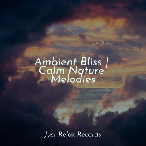 Ambient Bliss | Calm Nature Melodies