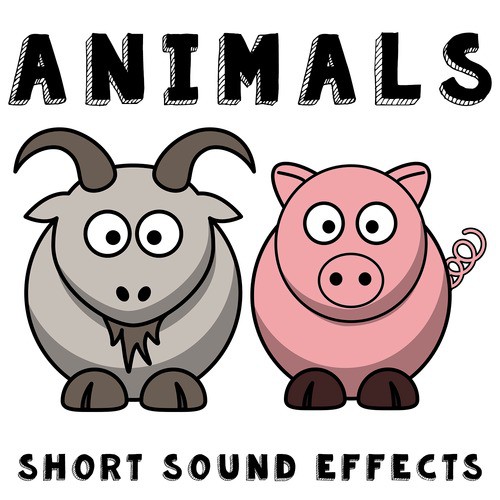 Animals, Short Sound Effects Songs Download - Free Online Songs @ JioSaavn