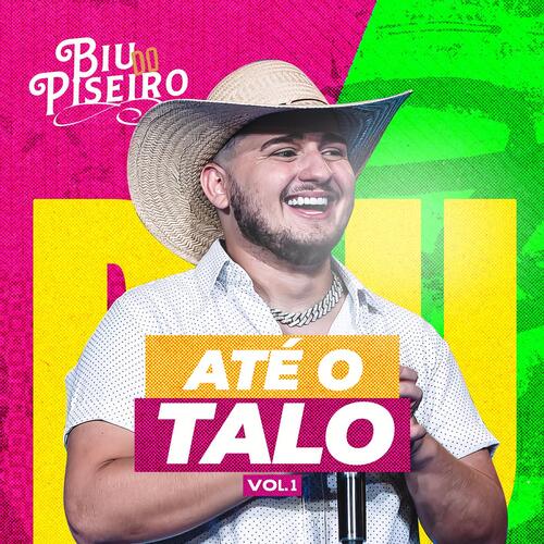 Biu Do Piseiro - Até o Talo (pt. 1)_poster_image