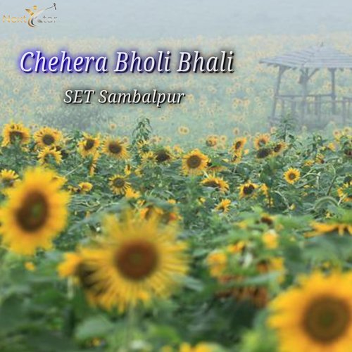 Chehera Bholi Bhali cover art