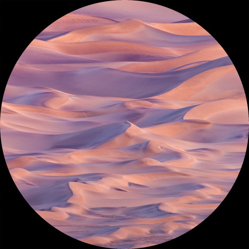 Desert cover art