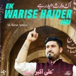 Ek Warise Haider Hai