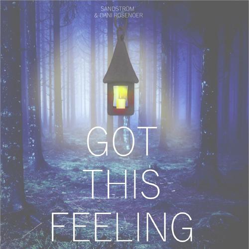 Got This Feeling _poster_image