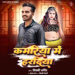 Kamariya Me Hardiya