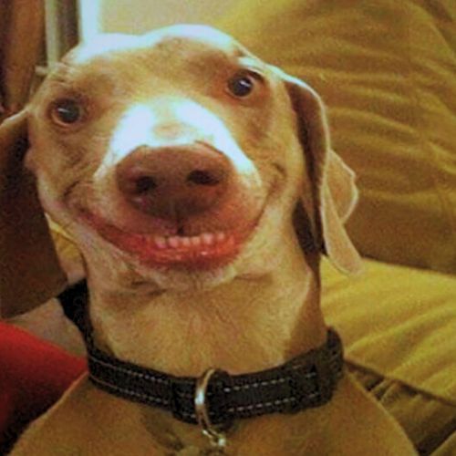 MONTAGEM ADO ADO (SUPER SLOWED)