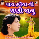 Mara Rudiya Ni Rani Janu artwork