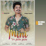 Mini Tor Piche Piche