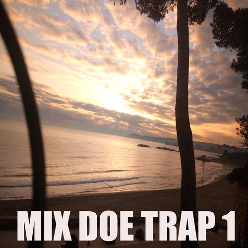 Mix Doe Trap 1