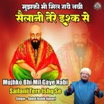 Mujhko Bhi Mil Gaye Nabi Sailani Tere Ishq Se