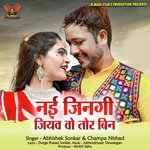 Nai Jingi Jiyav Vo Tor Bin