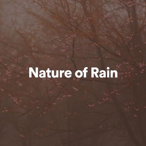 Acid Rain and Nature Sounds