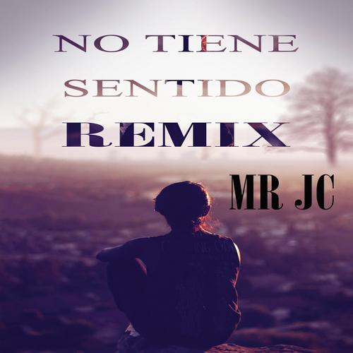 No Tiene Sentido (Remix)_poster_image