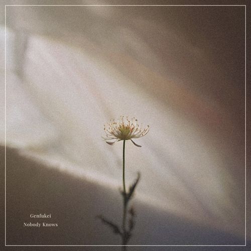 Nobody Knows cover art