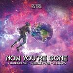 Now You're Gone