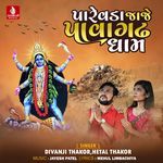 Parevada Jaje Pavagadh Dham