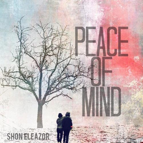 Peace of Mind (feat. Hc)
