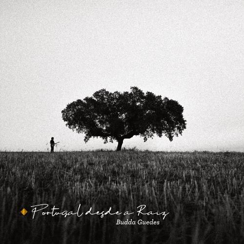 Virar o Bico ao Prego (feat. Galandum Galundaina) cover art