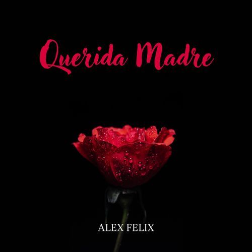 Querida Madre