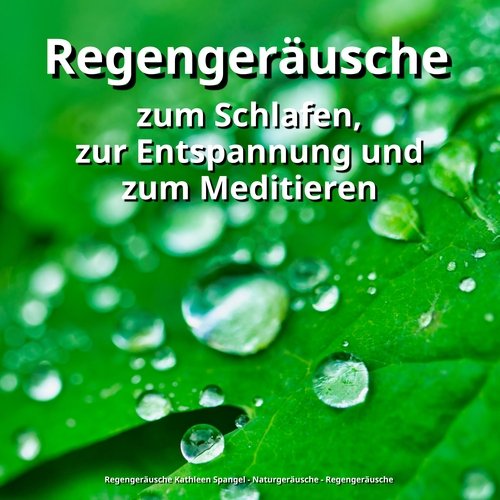 Regengeräusche zum Schlafen cover art