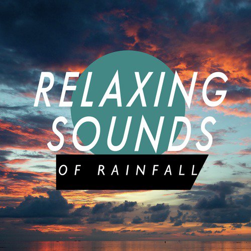 Relaxing Sounds of Rainfall