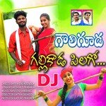Gouliguda Galli Kada Pilago Dj