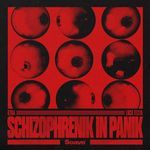 Schizophrenik In Panik