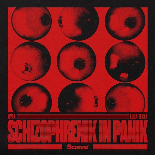 Schizophrenik In Panik