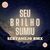 Seu Brilho Sumiu (Sertanejo Remix)