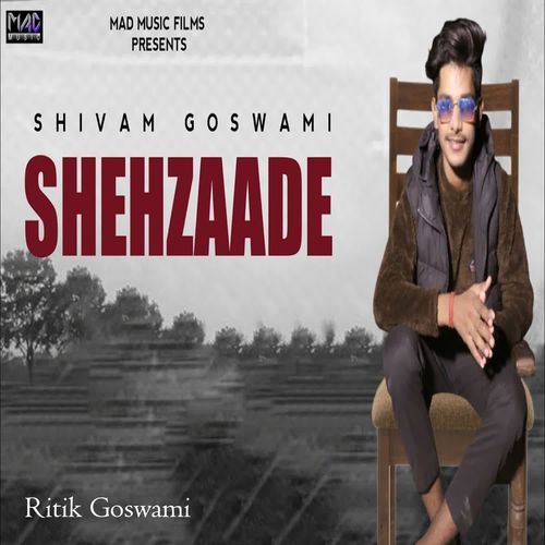 Shehzaade (feat. Ritik Goswami) cover art