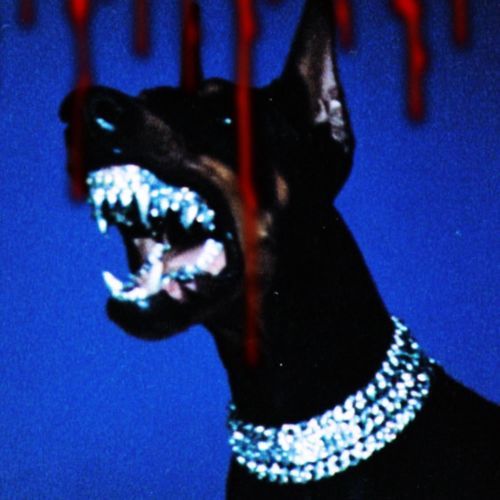 One Night Shit