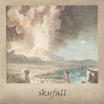 Skyfall (Piano Version - Sped Up) artwork