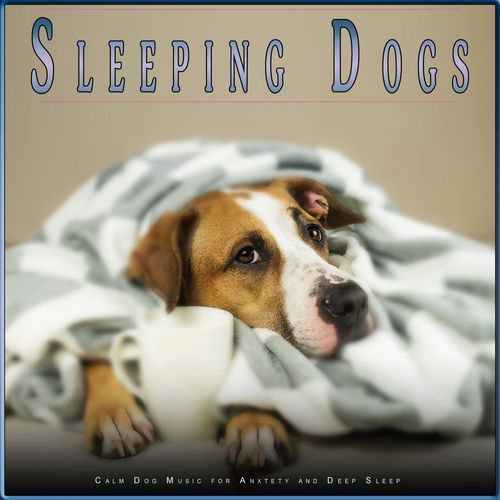 Sleeping Dogs