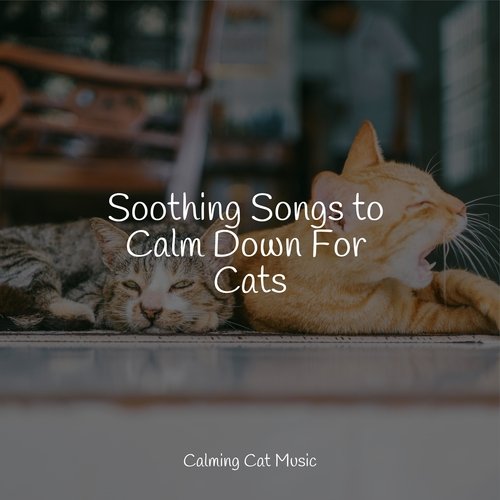 Lazy Morning cover art