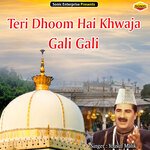 Teri Dhoom Hai Khwaja Gali Gali (Islamic)