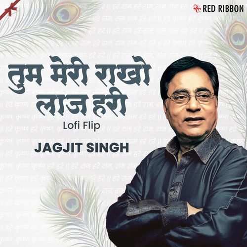 Tum Meri Rakho Laaj Hari Lofi Flip