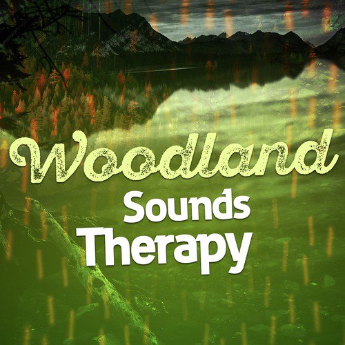 Water Source cover art
