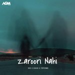 Zaroori Nahi