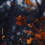 falling leaves