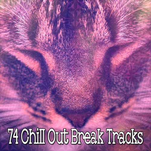 74 Chill Out Break Tracks