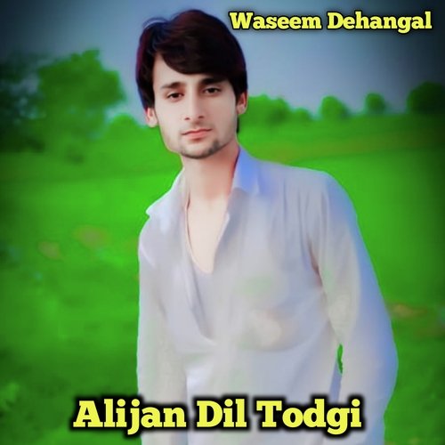 Alijan Dil Todgi