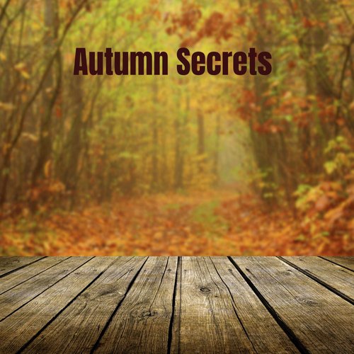 Nature Sound Collection cover art